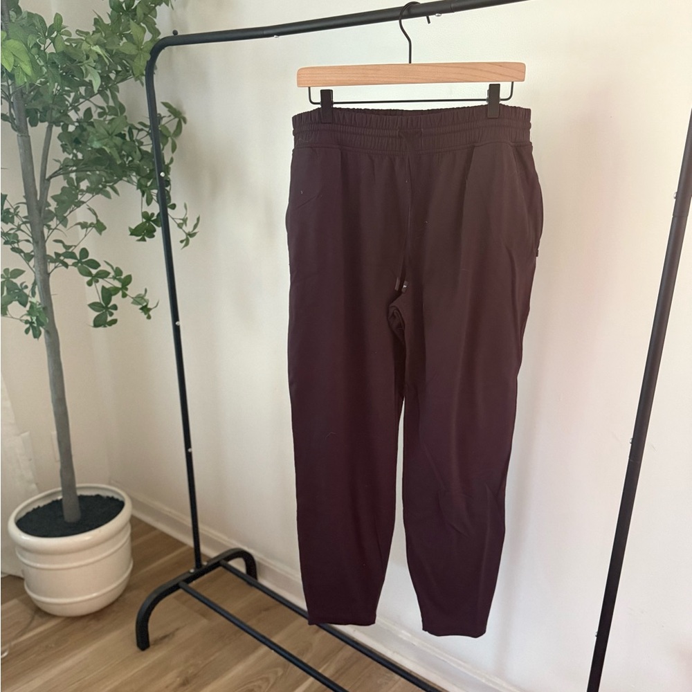 Fabletics Cold Weather Jogger